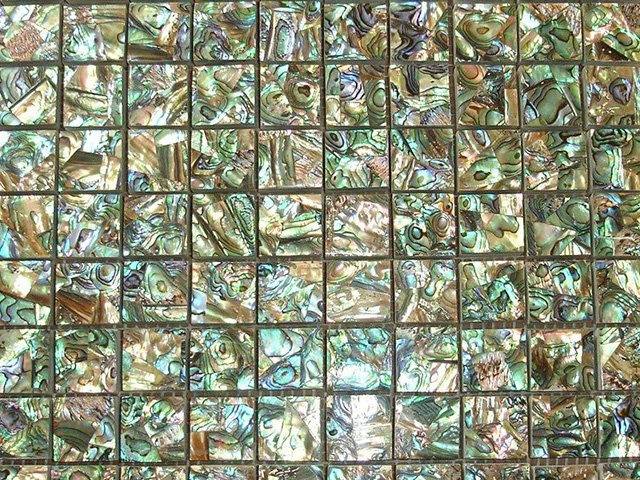 Abalone Shell mop