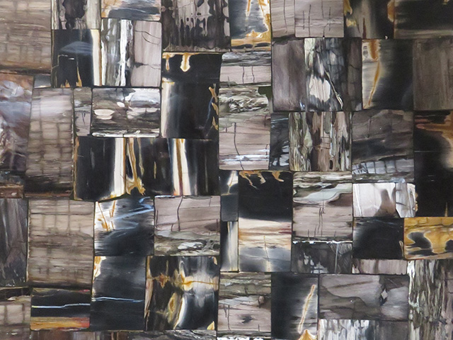 Black Petrified Wood stone