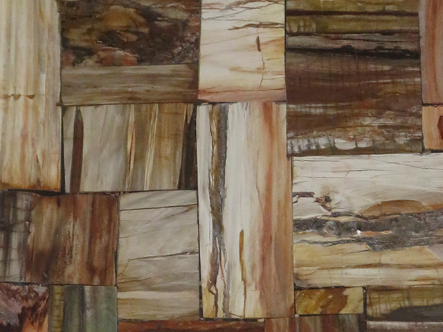 Brown Petrified Wood stone