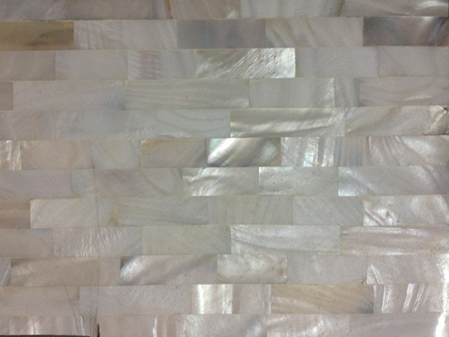 River shell mop