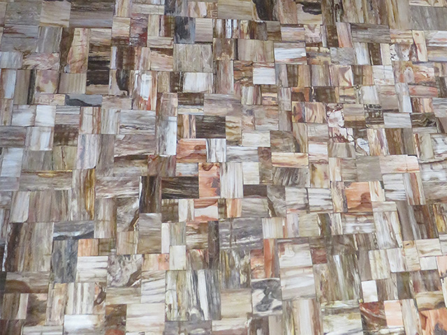 Wage Petrified Wood stone